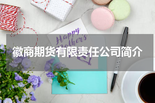 徽商期货有限责任公司简介