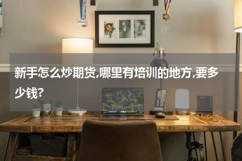 新手怎么炒期货,哪里有培训的地方,要多少钱?