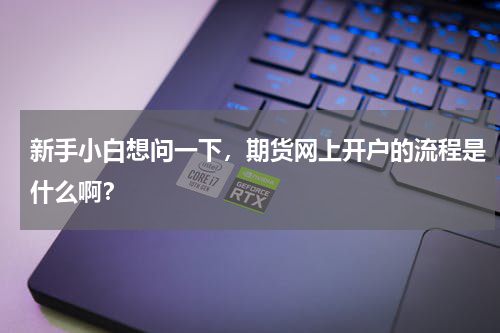 新手小白想问一下，期货网上开户的流程是什么啊？