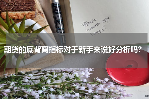 期货的底背离指标对于新手来说好分析吗？