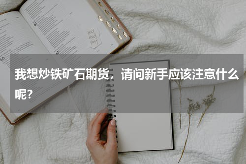 我想炒铁矿石期货，请问新手应该注意什么呢？