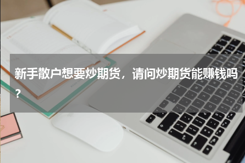 新手散户想要炒期货，请问炒期货能赚钱吗？