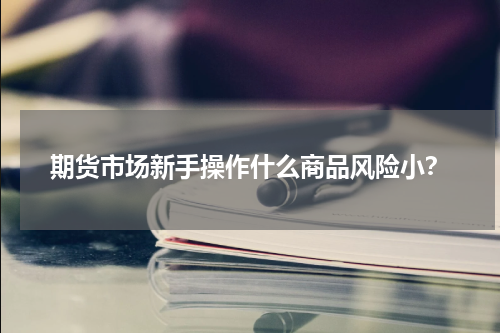 期货市场新手操作什么商品风险小？