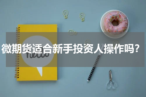 微期货适合新手投资人操作吗？