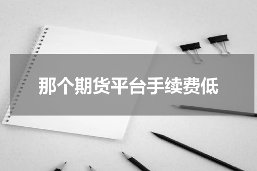 那个期货平台手续费低